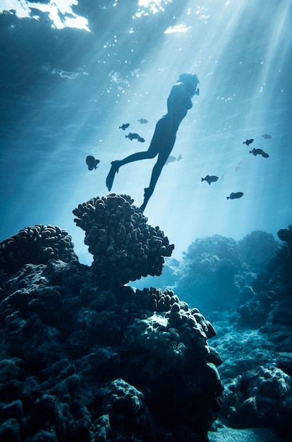 Descubre la impactante verdad detrás del Submarinismo: La historia que nadie te ha contado.