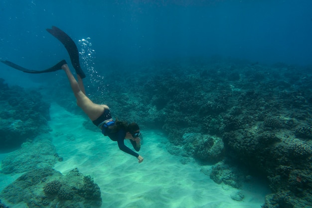 La verdadera historia del Snorkel