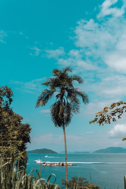 Acapulco: Donde el sol y el mar se encuentran