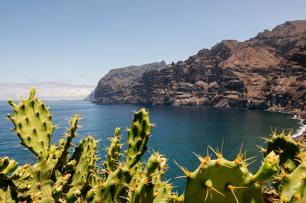 Canarias: Un paraíso de leyendas