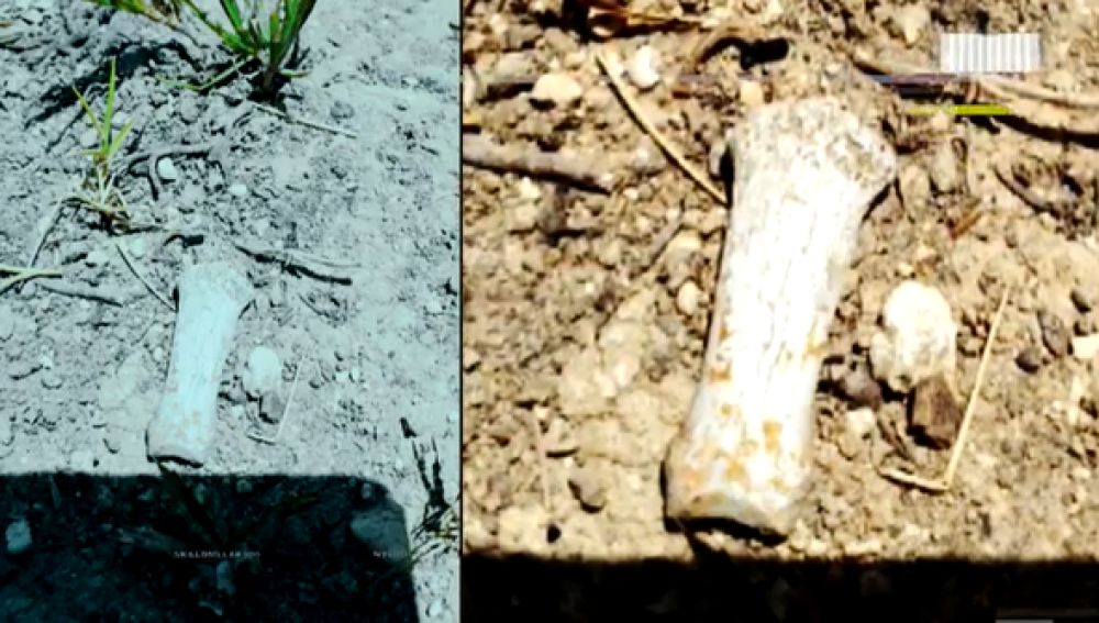 Descubre el misterioso secreto detrás de Las niñas de Alcàsser