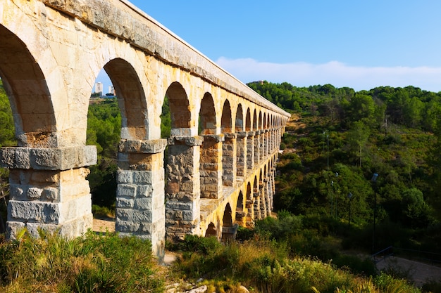 Descubre la verdad detrás del Puente de los Espías: ¿Un acto de valentía o una maniobra política?.