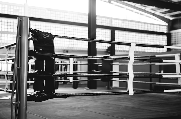 Descubre los secretos detrás del éxito de la WWE y cómo ha moldeado la cultura popular en todo el mundo