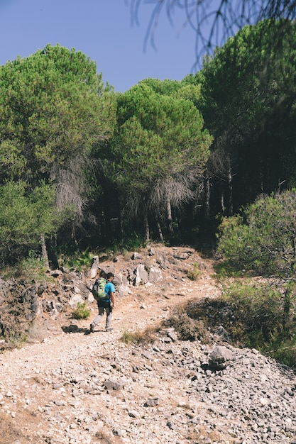 El Camino de Santiago: Un viaje mágico