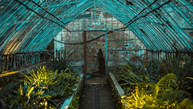 El misterio de la Pérgola