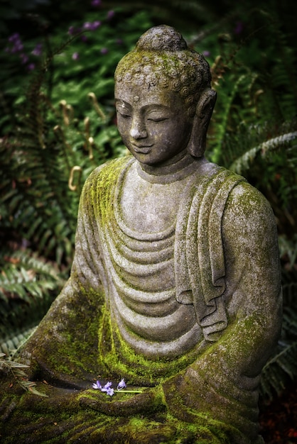 El secreto oculto de Buda