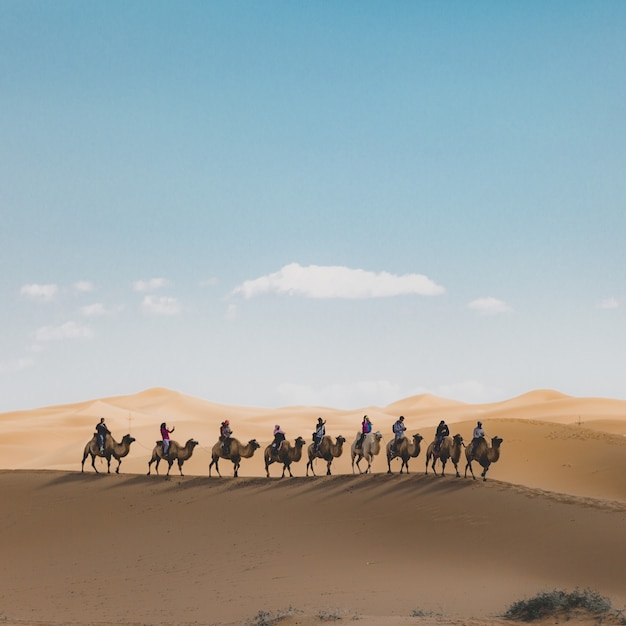 El sorprendente relato detrás de Lawrence de Arabia que no conocías