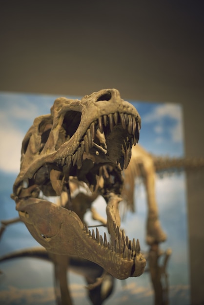 La fascinante crónica detrás de la desaparición de los dinosaurios que no te enseñaron en la escuela.