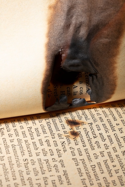La fascinante historia detrás de la novela de Patito Feo que nunca te contaron