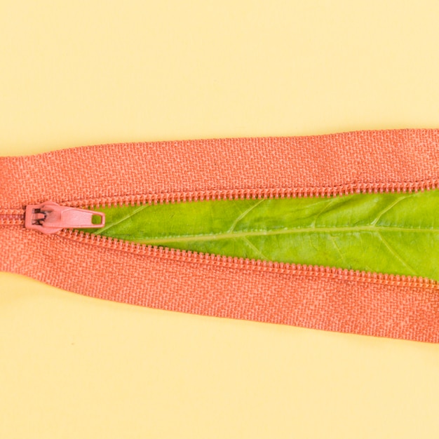 La fascinante y desconocida historia detrás de Zip Zip que te sorprenderá