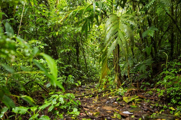La impactante revelación detrás del éxito de Jumanji que nadie te había contado antes