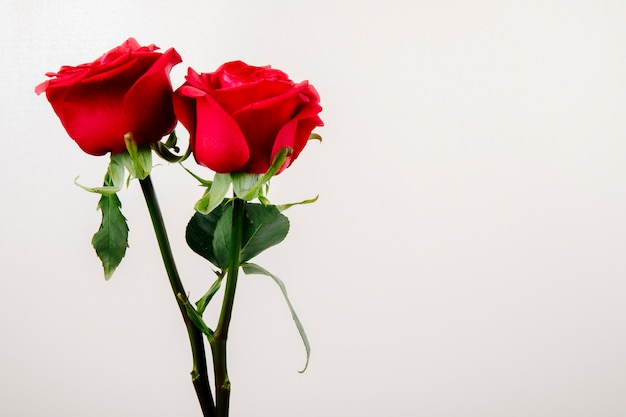 La impactante verdad detrás de Rose Red: ¡No podrás creer lo que realmente sucedió!