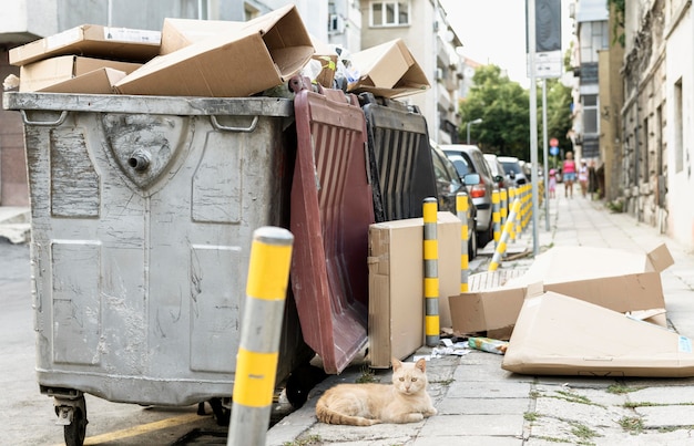 La impactante verdad detrás de la Basura en la Capital que nunca te contaron.