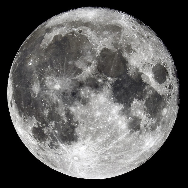 La impactante verdad detrás del cautiverio de Luna