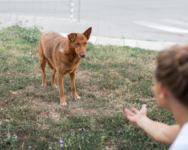 La impactante verdad detrás del perro más cobarde de la televisión
