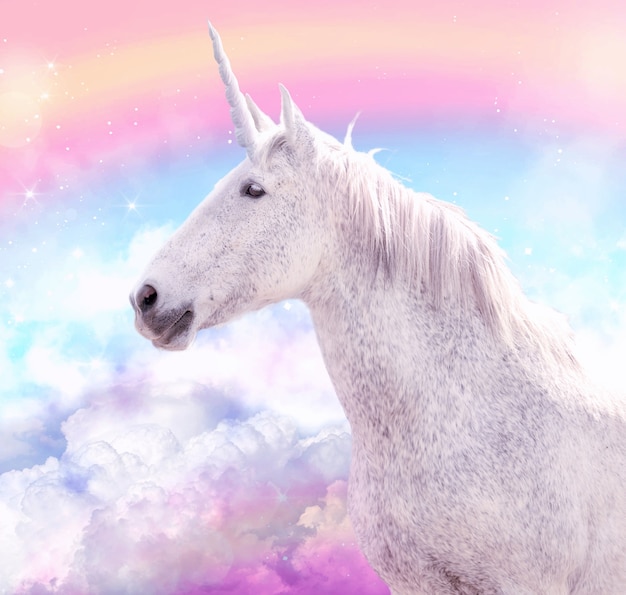 La sorprendente revelación detrás de Mi Unicornio Azul