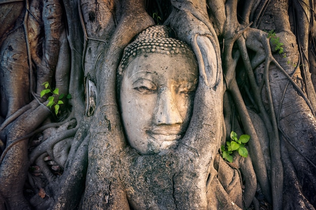 La sorprendente verdad detrás del misterioso Ganesha que nunca te contaron