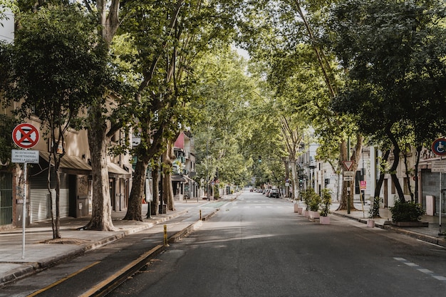 La verdadera historia de Carminha Avenida Brasil