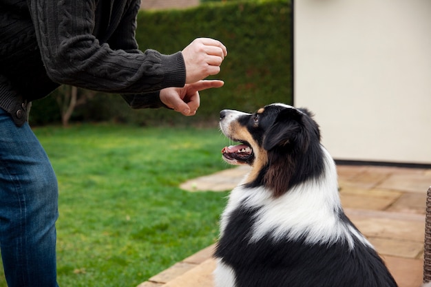 La verdadera historia de Coraje el perro cobarde