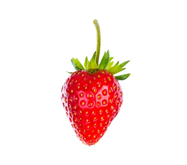 La verdadera historia de Frutillita