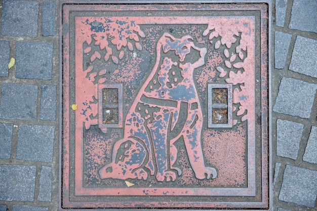 La verdadera historia de Hachiko