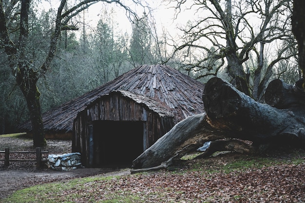 La verdadera historia de La Cabaña del Misterio