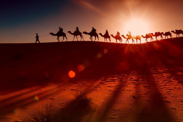 La verdadera historia de Lawrence de Arabia