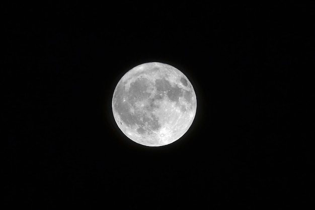 La verdadera historia de Luna Cautiva