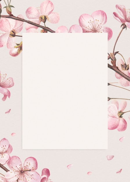 La verdadera historia de Sakura Card Captor