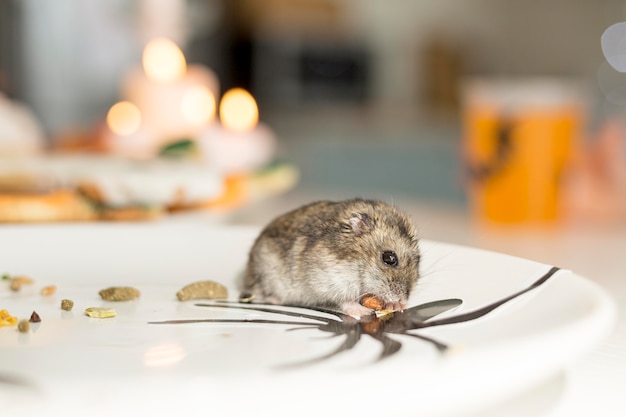 La verdadera historia de Suicide Mouse