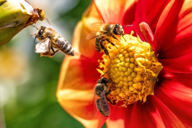 La verdadera historia de la Abeja Maya