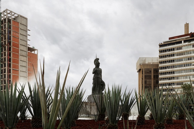 La verdadera historia de la Hiena de Querétaro