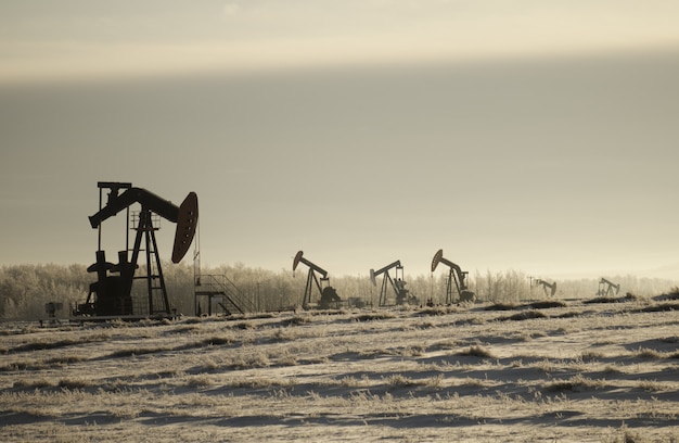 La verdadera historia de la expropiación petrolera
