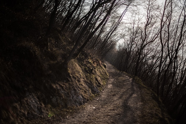 La verdadera historia de los canibales de camino hacia el terror