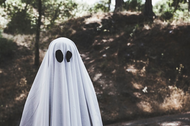 La verdadera historia del Fantasma de Canterville