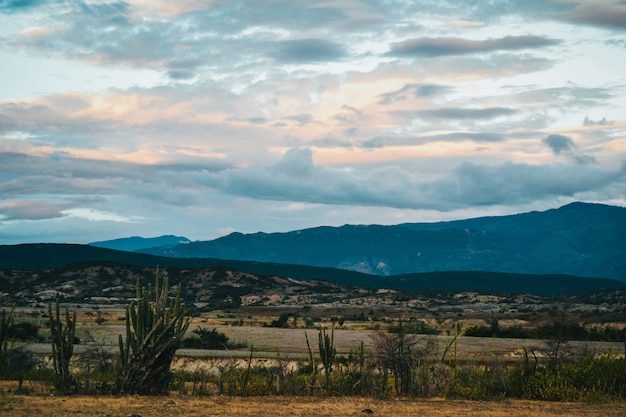 Los secretos más oscuros de la Sonora Santanera al descubierto