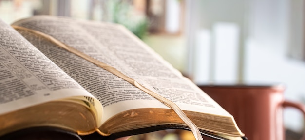 Revelaciones impactantes sobre la historia oculta de la Biblia Católica