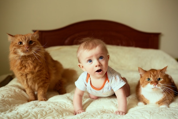 Revelado: El secreto detrás de la pelea entre Kid y Kat