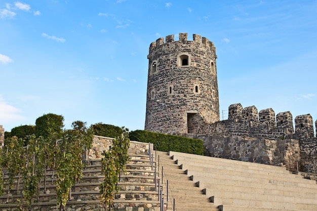 Revelando la verdad oculta detrás de la Torre de Babel: ¿Qué nos han estado ocultando?