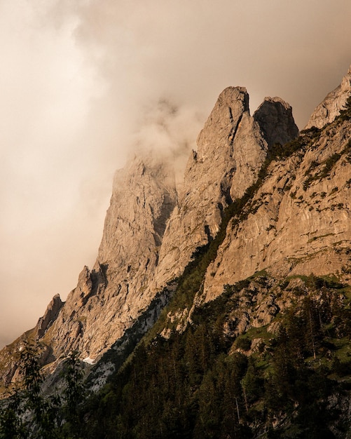 Tramontina: la magia de los utensilios