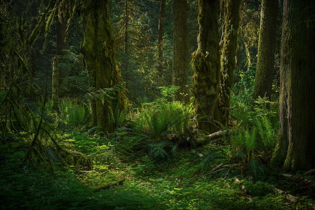 ¡La verdad detrás de Jurassic World que no te han contado!