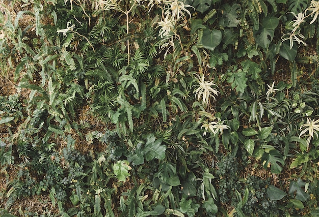 ¡No podrás creer lo que realmente hay detrás de los creepers!