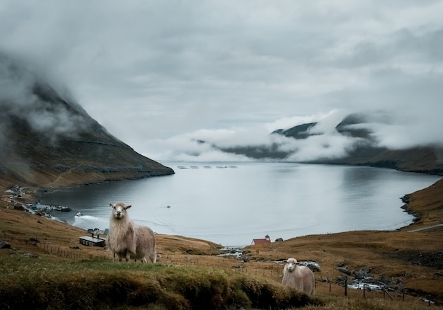 ¿A quién pertenecen realmente las Islas Malvinas? Reflexiona sobre la soberanía y los conflictos territoriales