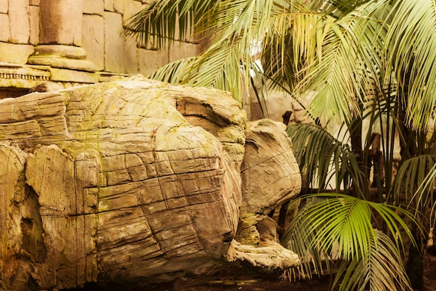 ¿Cómo se construyeron las estatuas de la Isla de Pascua? Reflexiona sobre los misterios de la civilización ancestral