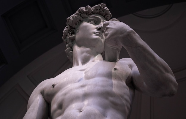 ¿David: un joven valiente o un instrumento divino para el destino?