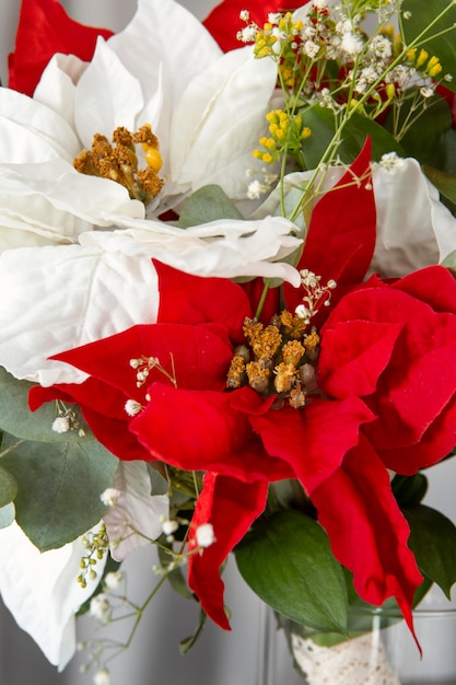 ¿Deberíamos dejar de regalar flores de Nochebuena? Una reflexión sobre el impacto ambiental y la responsabilidad social.