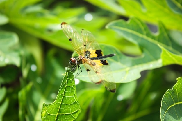 ¿Deberíamos seguir promoviendo la imagen de la Abeja Maya? Una reflexión sobre su impacto en la cultura popular y el medio ambiente.