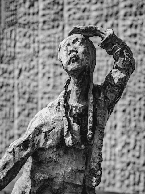 ¿Ernesto Che Guevara: un idealista heroico o un guerrillero despiadado?