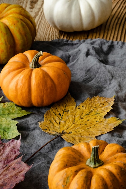 ¿Es adecuado seguir utilizando Jack-O-Lantern como un símbolo festivo?: Una reflexión sobre la apropiación cultural.