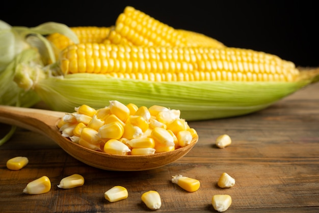 ¿Estamos realmente valorando el maíz como deberíamos? La reflexión sobre la importancia cultural y alimentaria de este cultivo en peligro de extinción.